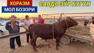 ХОРАЗМ МОЛ БОЗОРИ 31-АВГУСТ 2022-ЙИЛ БУГУН САВДО КУ́П БУ́ЛДИ ХОРАЗМ БОЗОР