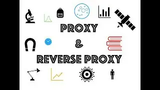 Proxy and reverse proxy basics