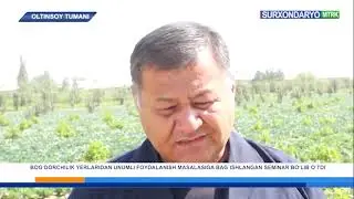 🌱 Олтинсойнинг боғдорчиликка ихтисослашган унумли ерлари