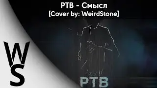 WeirdStone - Смысл [Cover]