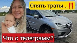 США/Опять траты/Минус 410$/Что случилось с моим Телеграмм/Последнии новости/Жизнь в США/Влог