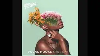 91Vocals - Vocal Hooks: Mint Label - Take It You Want It (Alt Wet)