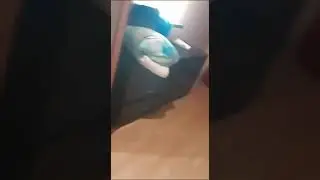 МЕХМОНХОНАДА ЗАПАЛ 