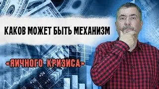 Каков может быть механизм «яичного кризиса»