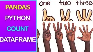DataFrame Count Rows & Columns Values Using Pandas VS Python