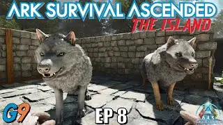 Ark Survival Ascended - EP8 (Makings of a Wolf Pack)