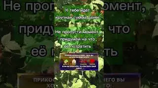 Что вы хотите больше всего