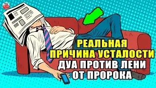 КАК ИЗБАВИТЬСЯ ОТ УСТАЛОСТИ И ЛЕНИ? РЕАЛЬНАЯ ПРИЧИНА УПАДКА СИЛ. ДУА ПРОТИВ ЛЕНИ ОТ ПРОРОКА