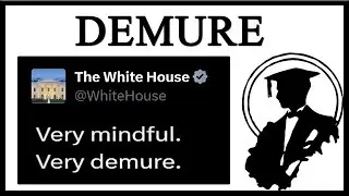White House Says Very Demure, Very Mindful
