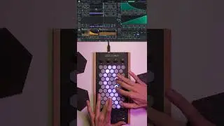 Exquis - Vital (@MattTytel) "Tube of Fabric" future preset #mpe #midi #synth #plugin #vst #preset