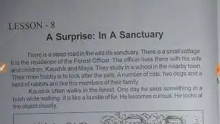 Sankardev Shisu Niketan Class 5 English lesson 8| A surprise : In a Sanctuary Assamese Explanation