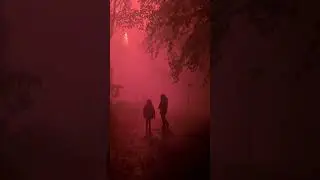 МИРУ МИР дай Бог чтоб над головами взрывались только фейерверки...