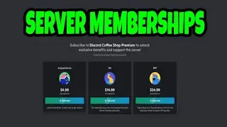 How to Make Money off Your Discord Server In 2022 |  server membersips discord