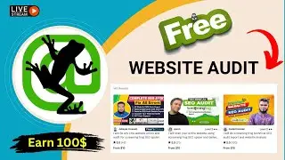 Screaming Frog Website Audit Report | How to Use Screaming Frog FREE?