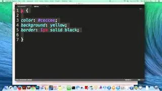 HTML Tutorial   How to Make a Text Bold on HTML