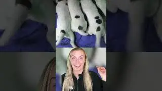 Coincidences You WON'T Believe HAPPENED!😱