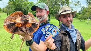 Would You Enter a Dragon Infested Park?