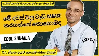 මේ අන්තිම කාලේ වැඩ මැනේජ් කරගන්නේ කොහොමද ?ඔන්න COOL SINHALA 🩷🩷 අනිවාර්යයෙන් බලලා යන්න ......