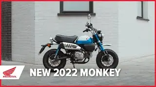 2022 Monkey | 125cc Motorcycle | Honda