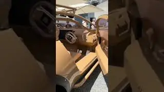 Can you guess cat name? #car #cars #shorts #viral #viralvideos #luxury #shorts #reels #foryou