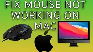 How to fix Mouse not working on Mac - 3 most common reasons why the mouse is not working (2024)