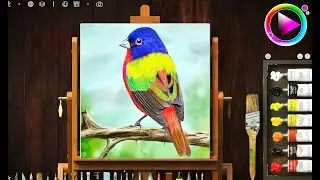 Nature Painting - Colorful Bird Drawing - Realistic Paint Studio (Digital Art)