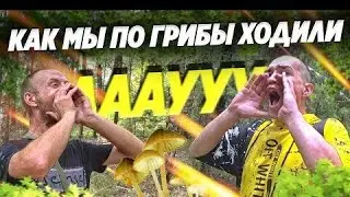 ПОХОД ЗА ГРИБАМИ В СУХОЙ ЛЕС С БРИГАДОЙ / ГОТОВИМ КАРТОШКУ НА КВАДРАТЕ / ВЕСЁЛЫЙ ВЫПУСК | Перезалив