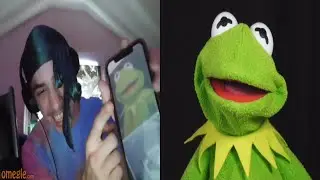 Kermit caught in 4K on Omegle