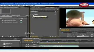 Adjusting Audio Levels | Audio Mixer,Audio Export | Learning Premiere Pro CS4