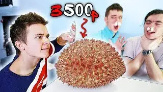 НИКОГДА НЕ ПРОБУЙ ДУРИАН
