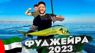 Рыбалка в Арабских Эмиратах