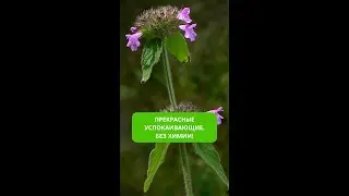 Прекрасные успокаивающие. Без химии!