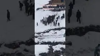 одам пайга дар сагердашт