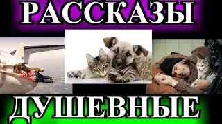 ДУШЕВНЫЕ РАССКАЗЫ\1❤️НЕ СПЕШИТЕ ПРЫГАТЬ С ОБРЫВА❤️КУРС ДРУЖБЫ❤️НЕУДАЧНИК❤️БЕГЛЕЦ❤️@TEFI РАССКАЗЫ