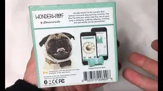 WonderWoof BowTie Dog Activity Tracker with Bluetooth TEARDOWN Because I bought it broken used.