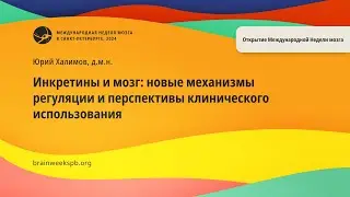 Инкретины и мозг: новые механизмы регуляции и перспективы