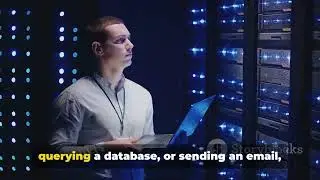 Introduction to client server architecture // Internet Programming (IT)