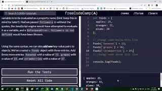 Basic Data Structures - Add Key-Value Pairs to Javascript Objects! (freeCodeCamp Tutorial)