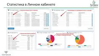 Кабинет дистрибьютора Возможности Статистика Основные вкладки