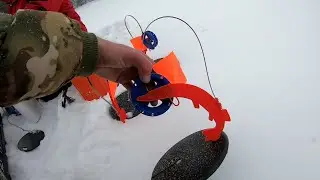 ВЫСТАВЛЯЕМ ЖЕРЛИЦЫ В ГЛУХОЗИМЬЕ. Будет ли результат?