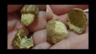 Секрет качественной Трифалы
