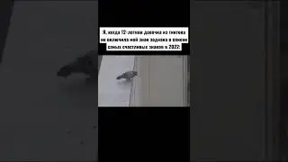 голубь упал с крыши 