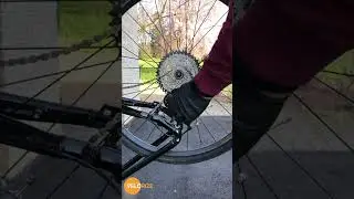 How to Remove Rear Wheel of your Bike #bikecleaning #cyclinglife #bikemaintenance