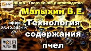 25.12.21 г. Z-рация, канал 