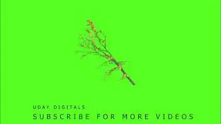 tree green screen, tree leafs green screen, tree branches green screen, tree green screen, tree fall