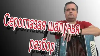 Сероглазая шалунья //разбор на гармони по цифрам