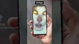 This is TikTok 