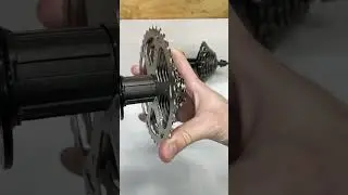 Кассета или трещотка? Что выбрать?