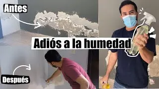 ✅Elimina la HUMEDAD, SALITRE Y MOHO de TECHOS Y PAREDES 💧🏡🔨