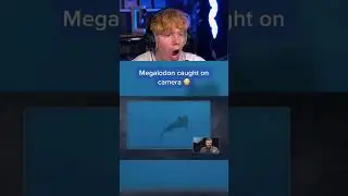 Megalodon Caught on Camera! 😱